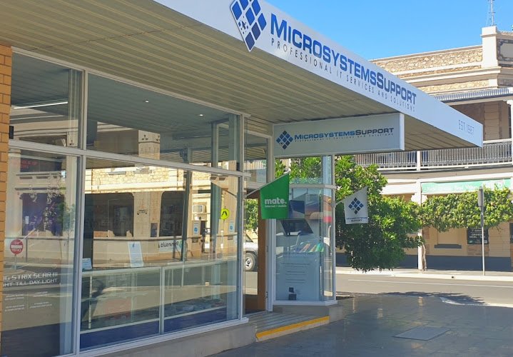 Microsystems Support