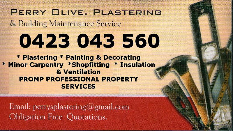 Perry Olive. Plastering. - Computer repair in Brassall